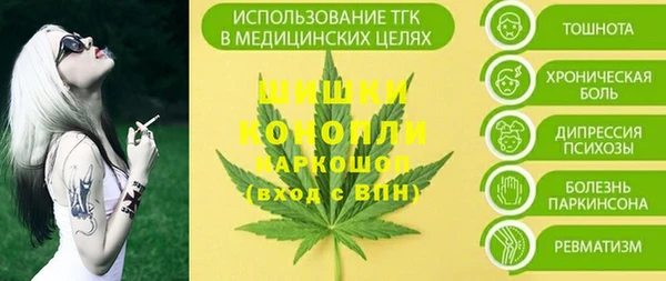 ПСИЛОЦИБИНОВЫЕ ГРИБЫ Надым