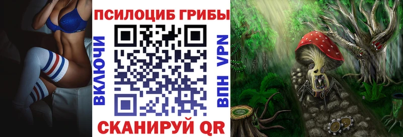 Псилоцибиновые грибы Psilocybine cubensis  Игра 